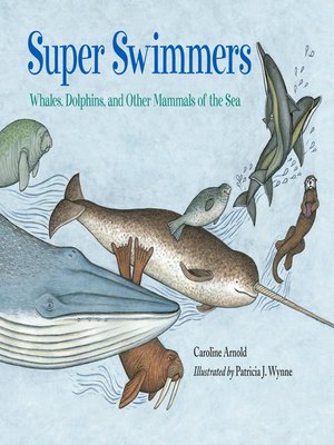 cover image of Super Swimmers